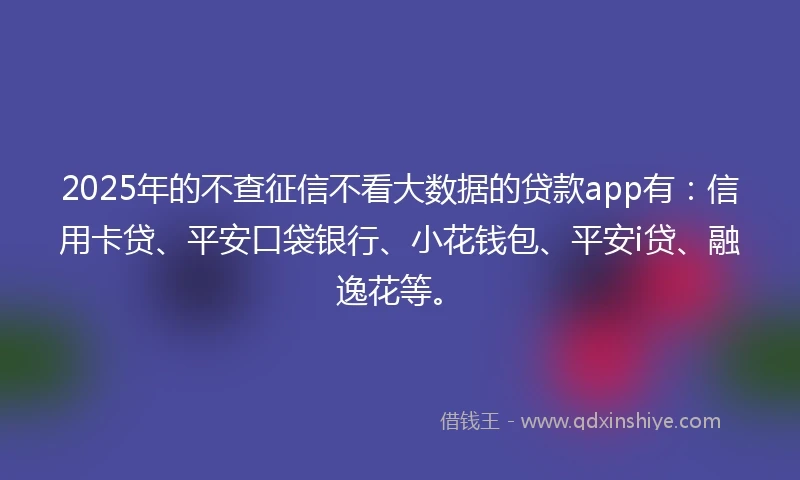 2025年的不查征信不看大数据的贷款app有：信用卡贷、平安口袋银行、小花钱包、平安i贷、融逸花等。