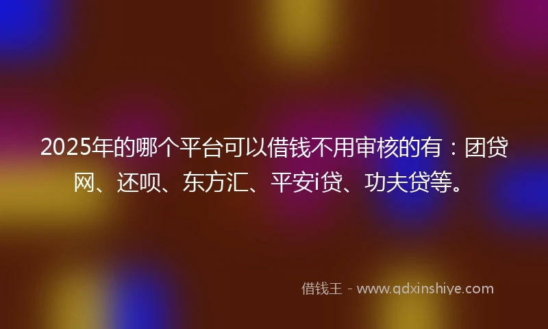 2025年的哪个平台可以借钱不用审核的有：团贷网、还呗、东方汇、平安i贷、功夫贷等。