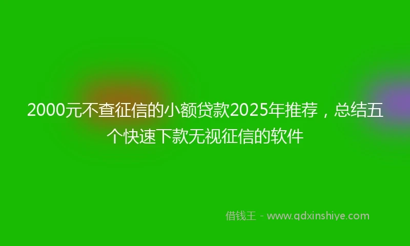 2000元不查征信的小额贷款2025年推荐，总结五个快速下款无视征信的软件
