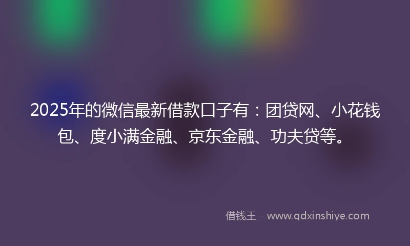 2025年的微信最新借款口子有：团贷网、小花钱包、度小满金融、京东金融、功夫贷等。