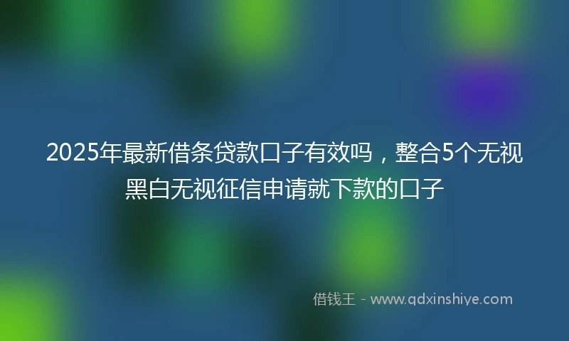 2025年最新借条贷款口子有效吗，整合5个无视黑白无视征信申请就下款的口子