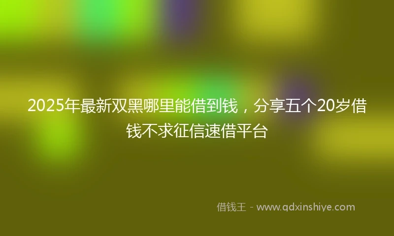 2025年最新双黑哪里能借到钱，分享五个20岁借钱不求征信速借平台