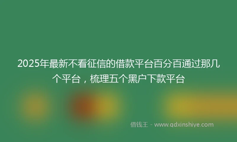 2025年最新不看征信的借款平台百分百通过那几个平台，梳理五个黑户下款平台