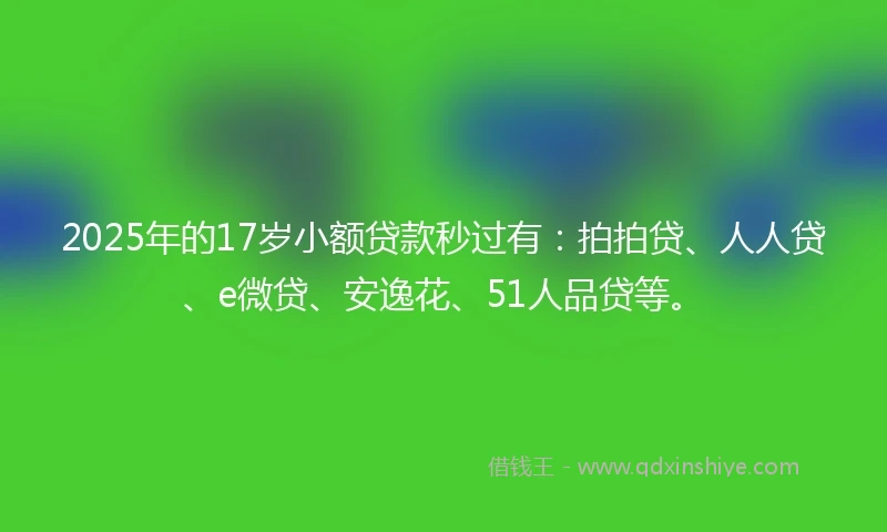 2025年的17岁小额贷款秒过有：拍拍贷、人人贷、e微贷、安逸花、51人品贷等。