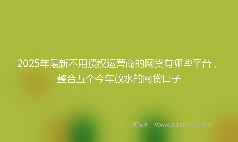 2025年最新不用授权运营商的网贷有哪些平台，整合五个今年放水的网贷口子