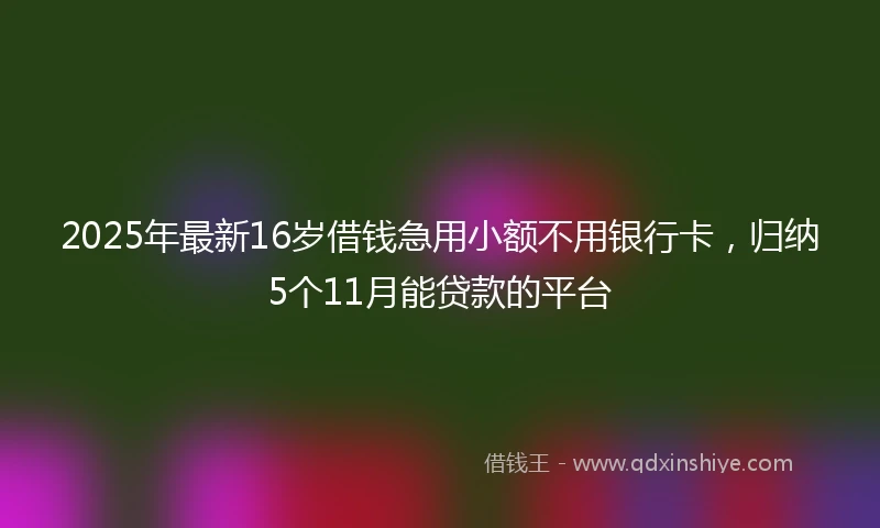 2025年最新16岁借钱急用小额不用银行卡，归纳5个11月能贷款的平台
