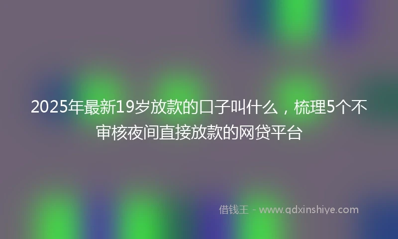 2025年最新19岁放款的口子叫什么，梳理5个不审核夜间直接放款的网贷平台