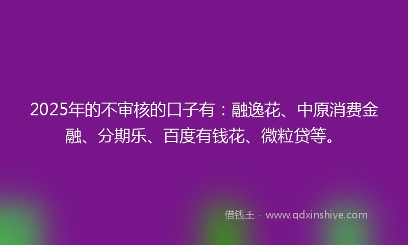 2025年的不审核的口子有：融逸花、中原消费金融、分期乐、百度有钱花、微粒贷等。