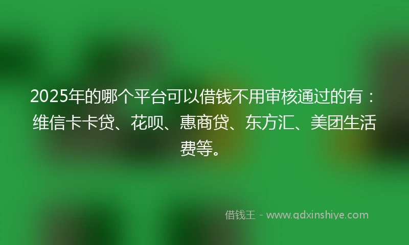 2025年的哪个平台可以借钱不用审核通过的有：维信卡卡贷、花呗、惠商贷、东方汇、美团生活费等。