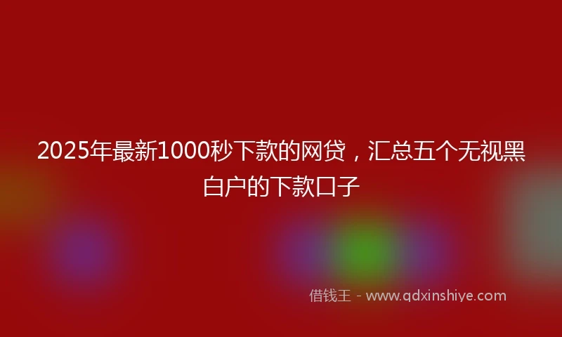 2025年最新1000秒下款的网贷，汇总五个无视黑白户的下款口子