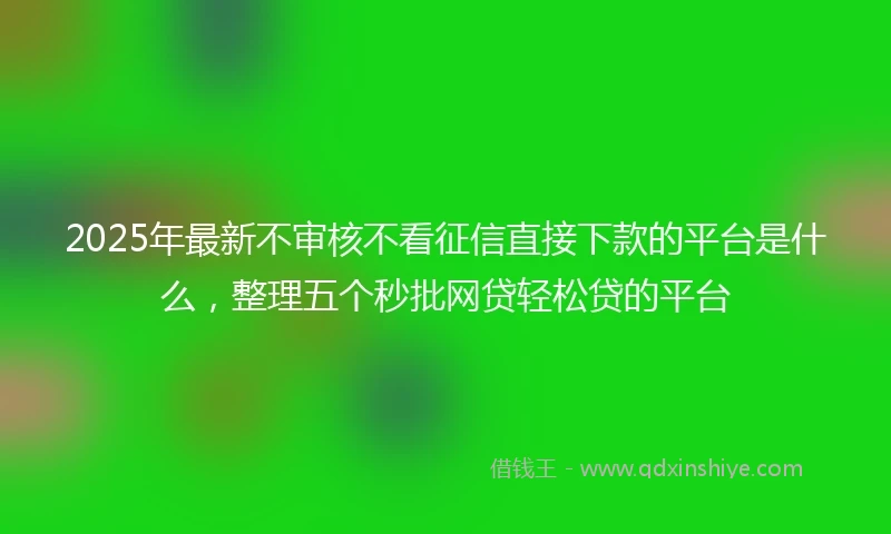 2025年最新不审核不看征信直接下款的平台是什么，整理五个秒批网贷轻松贷的平台