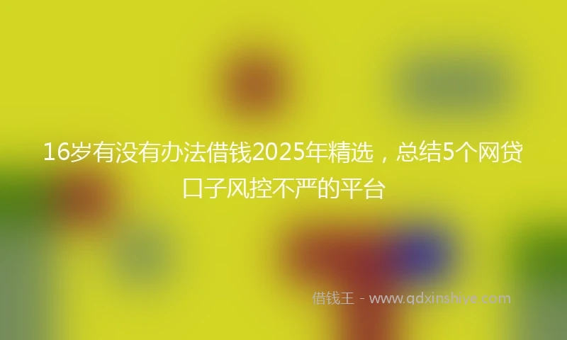 16岁有没有办法借钱2025年精选，总结5个网贷口子风控不严的平台