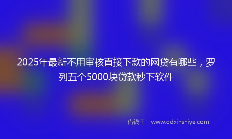 2025年最新不用审核直接下款的网贷有哪些，罗列五个5000块贷款秒下软件