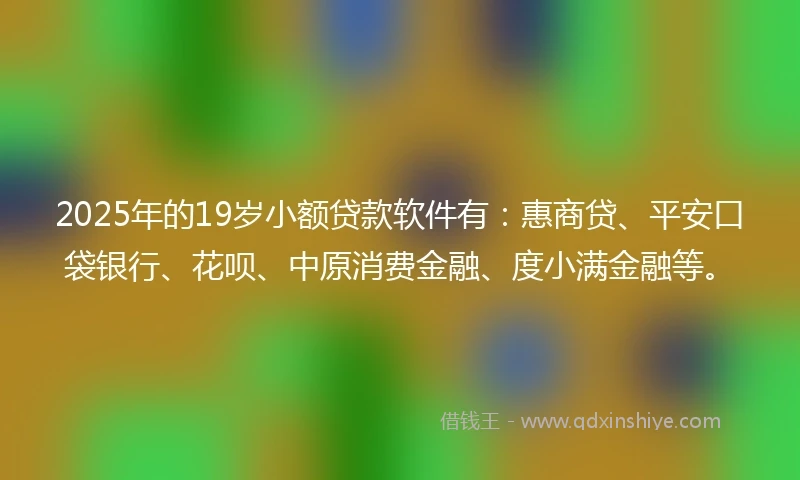 2025年的19岁小额贷款软件有：惠商贷、平安口袋银行、花呗、中原消费金融、度小满金融等。