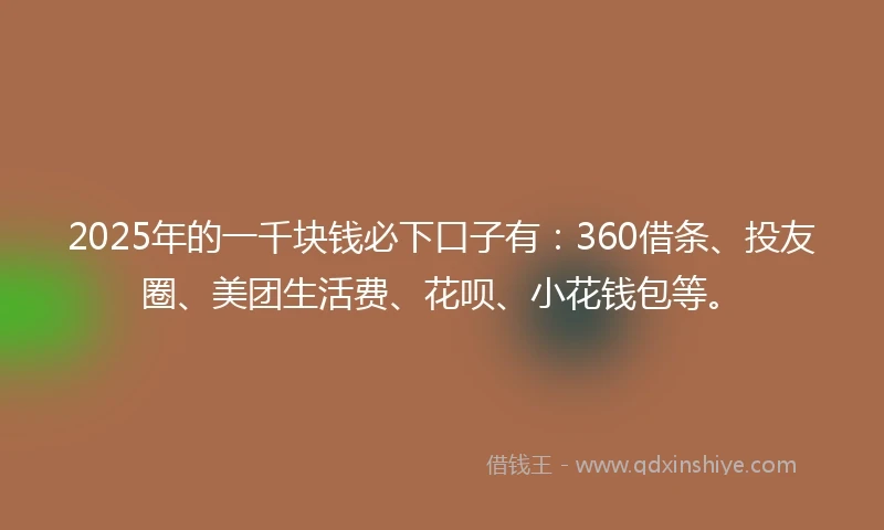 2025年的一千块钱必下口子有：360借条、投友圈、美团生活费、花呗、小花钱包等。