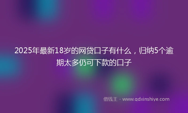 2025年最新18岁的网贷口子有什么，归纳5个逾期太多仍可下款的口子