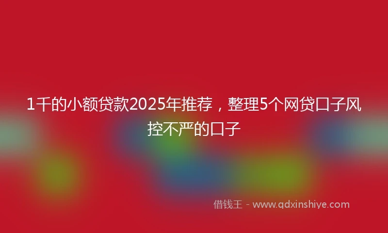 1千的小额贷款2025年推荐，整理5个网贷口子风控不严的口子