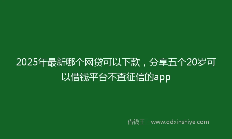 2025年最新哪个网贷可以下款，分享五个20岁可以借钱平台不查征信的app