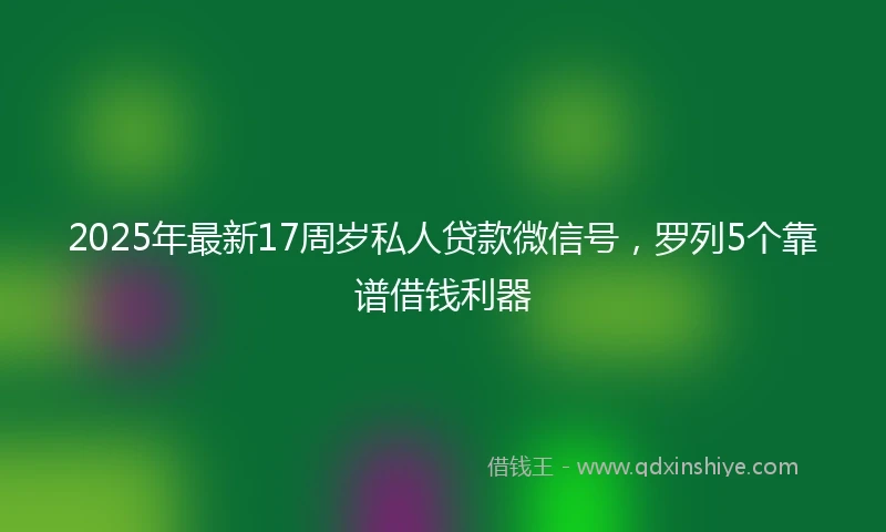 2025年最新17周岁私人贷款微信号，罗列5个靠谱借钱利器