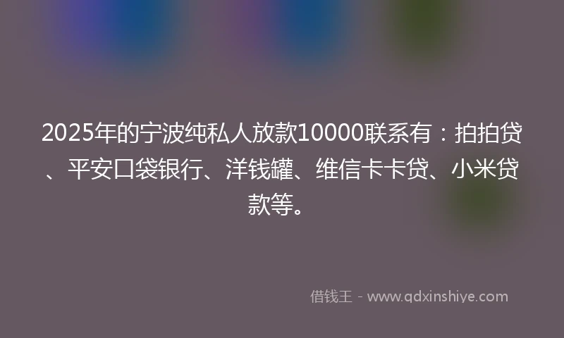 2025年的宁波纯私人放款10000联系有：拍拍贷、平安口袋银行、洋钱罐、维信卡卡贷、小米贷款等。