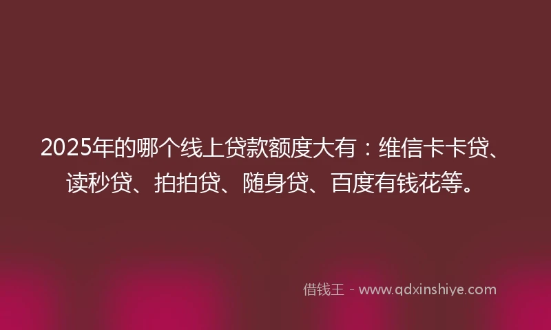 2025年的哪个线上贷款额度大有：维信卡卡贷、读秒贷、拍拍贷、随身贷、百度有钱花等。