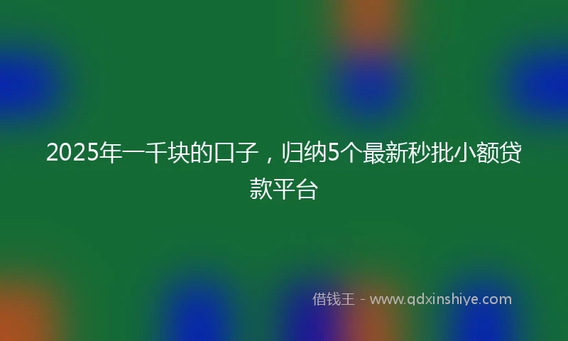 2025年一千块的口子，归纳5个最新秒批小额贷款平台