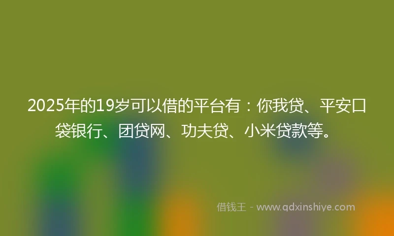 2025年的19岁可以借的平台有：你我贷、平安口袋银行、团贷网、功夫贷、小米贷款等。