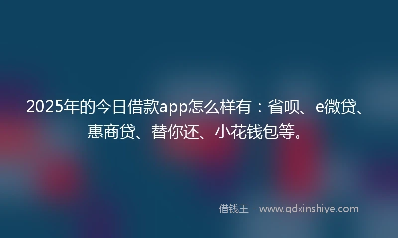 2025年的今日借款app怎么样有：省呗、e微贷、惠商贷、替你还、小花钱包等。