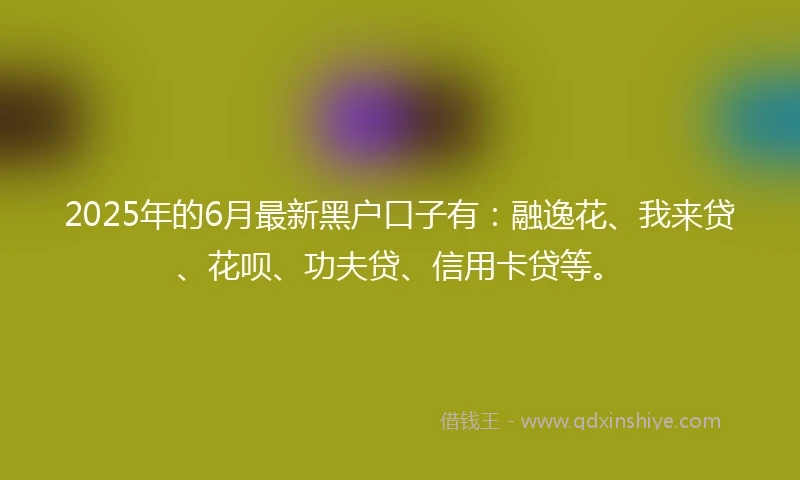 2025年的6月最新黑户口子有：融逸花、我来贷、花呗、功夫贷、信用卡贷等。