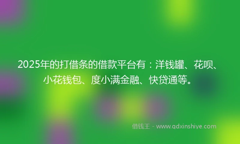 2025年的打借条的借款平台有：洋钱罐、花呗、小花钱包、度小满金融、快贷通等。