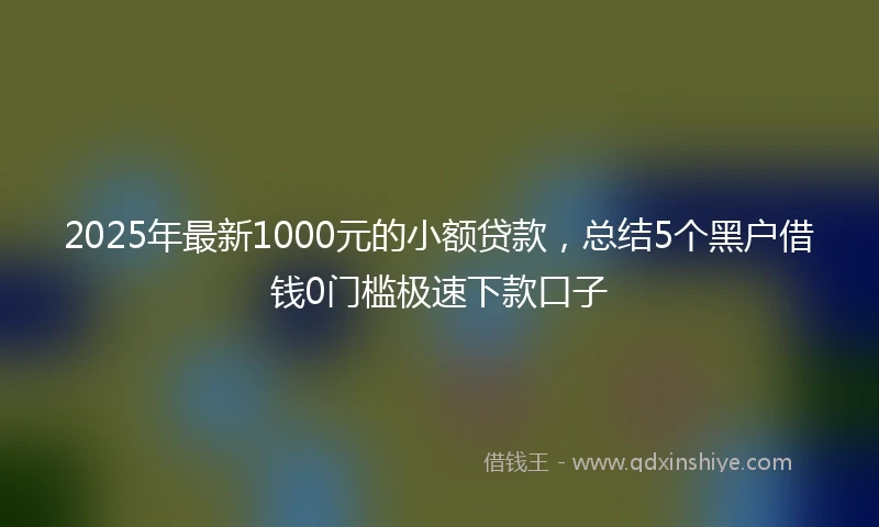 2025年最新1000元的小额贷款，总结5个黑户借钱0门槛极速下款口子