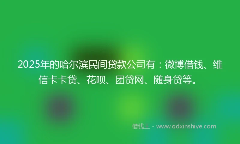 2025年的哈尔滨民间贷款公司有：微博借钱、维信卡卡贷、花呗、团贷网、随身贷等。