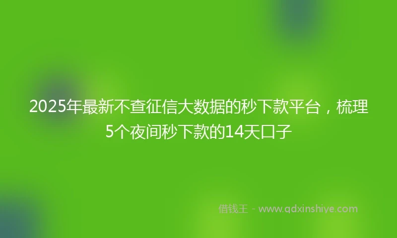 2025年最新不查征信大数据的秒下款平台，梳理5个夜间秒下款的14天口子