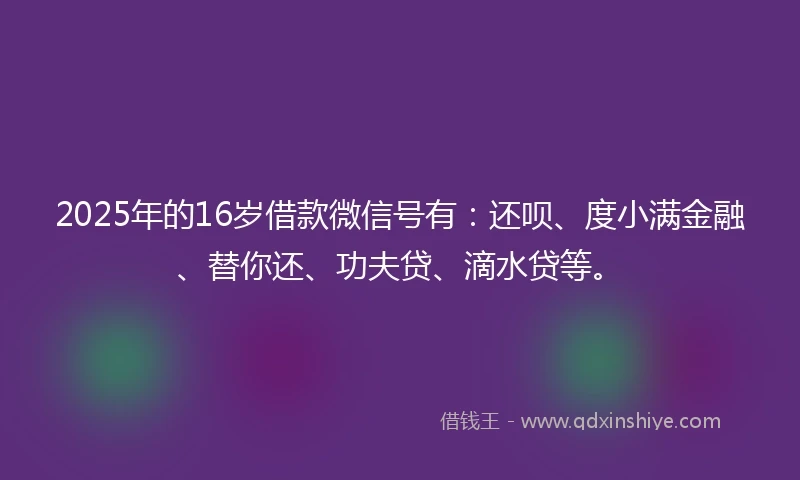 2025年的16岁借款微信号有：还呗、度小满金融、替你还、功夫贷、滴水贷等。