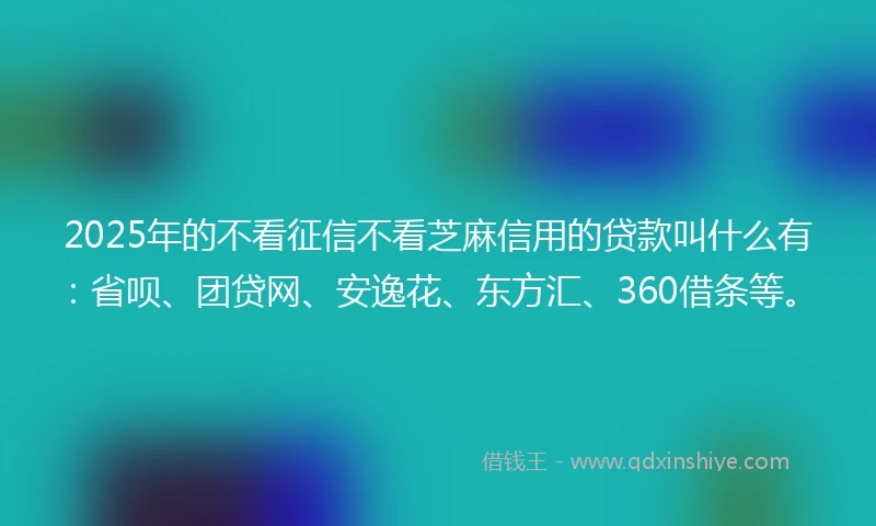 2025年的不看征信不看芝麻信用的贷款叫什么有：省呗、团贷网、安逸花、东方汇、360借条等。