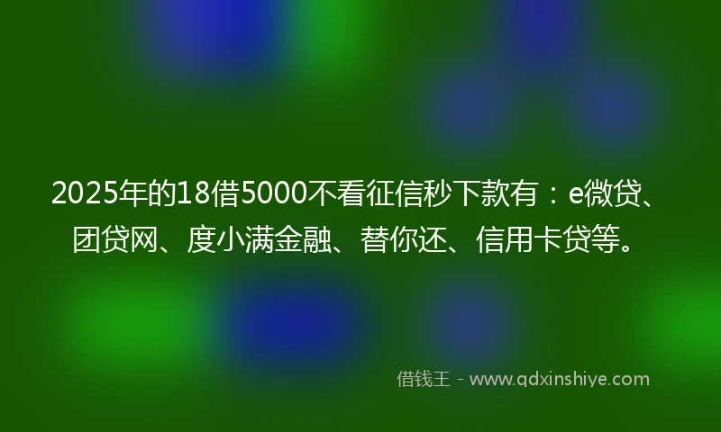 2025年的18借5000不看征信秒下款有：e微贷、团贷网、度小满金融、替你还、信用卡贷等。