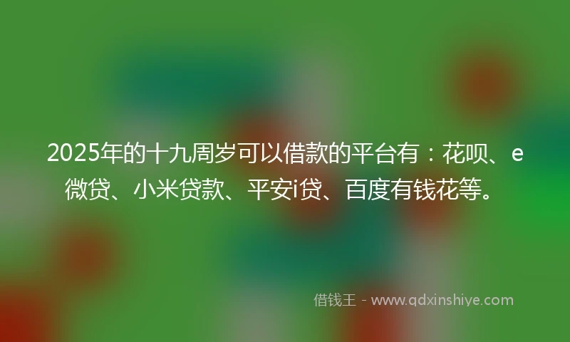 2025年的十九周岁可以借款的平台有：花呗、e微贷、小米贷款、平安i贷、百度有钱花等。