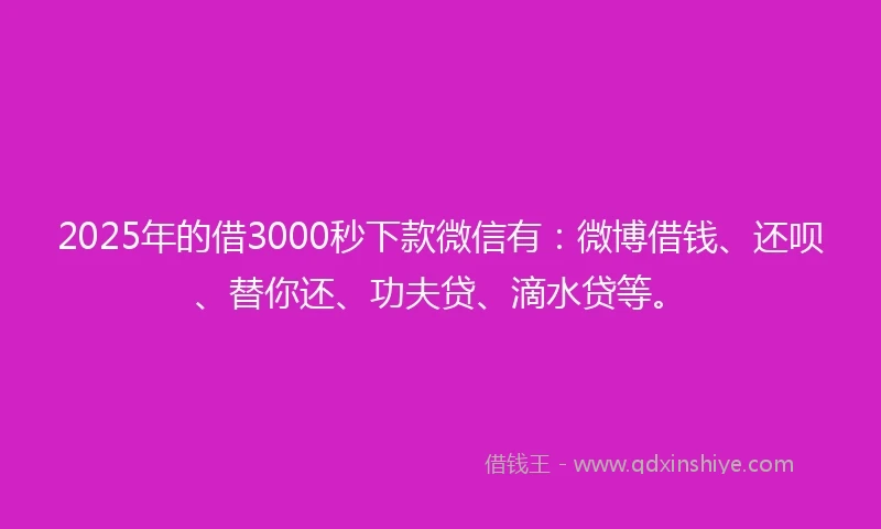 2025年的借3000秒下款微信有：微博借钱、还呗、替你还、功夫贷、滴水贷等。