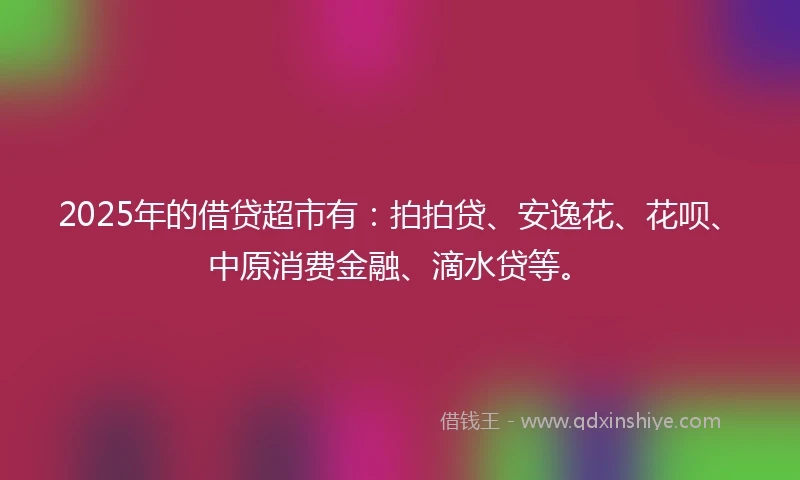 2025年的借贷超市有：拍拍贷、安逸花、花呗、中原消费金融、滴水贷等。