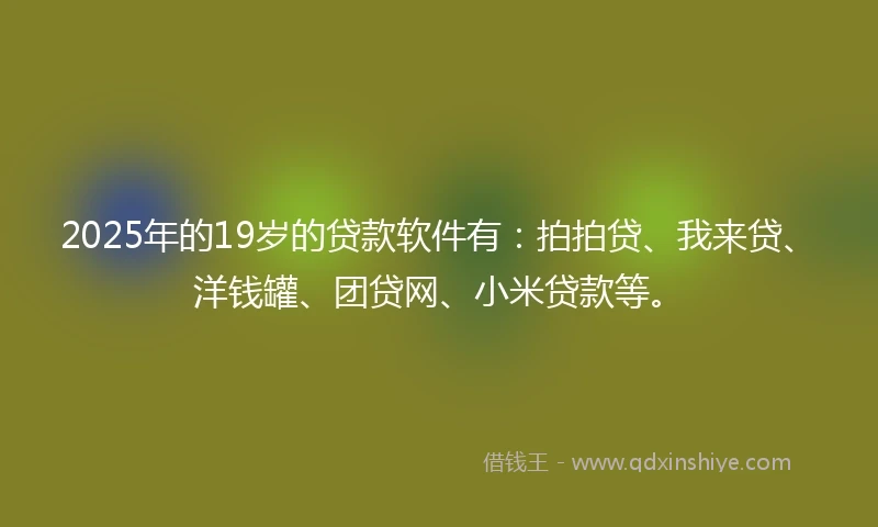 2025年的19岁的贷款软件有：拍拍贷、我来贷、洋钱罐、团贷网、小米贷款等。