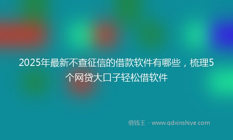 2025年最新不查征信的借款软件有哪些，梳理5个网贷大口子轻松借软件