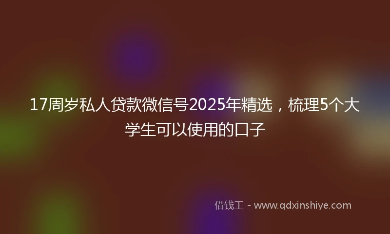17周岁私人贷款微信号2025年精选，梳理5个大学生可以使用的口子