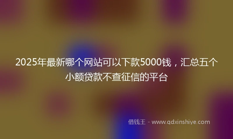 2025年最新哪个网站可以下款5000钱，汇总五个小额贷款不查征信的平台