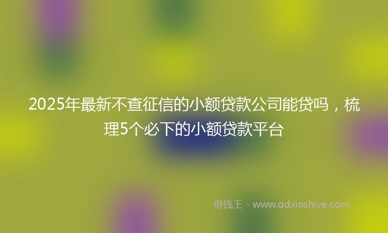 2025年最新不查征信的小额贷款公司能贷吗，梳理5个必下的小额贷款平台