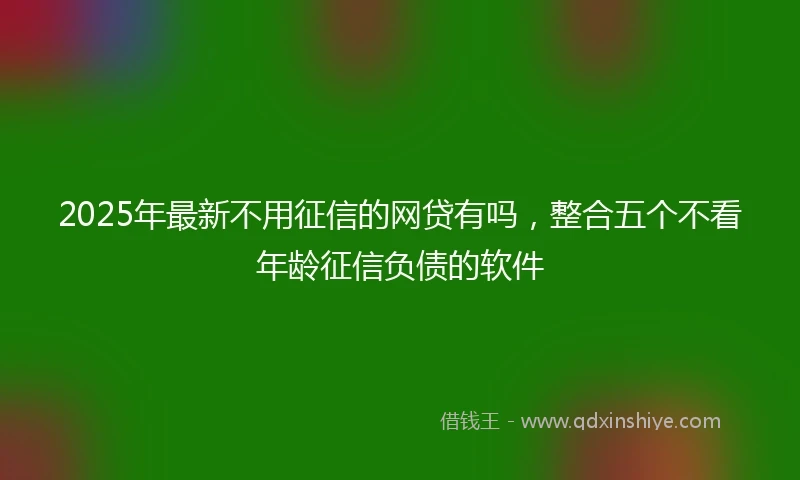 2025年最新不用征信的网贷有吗，整合五个不看年龄征信负债的软件