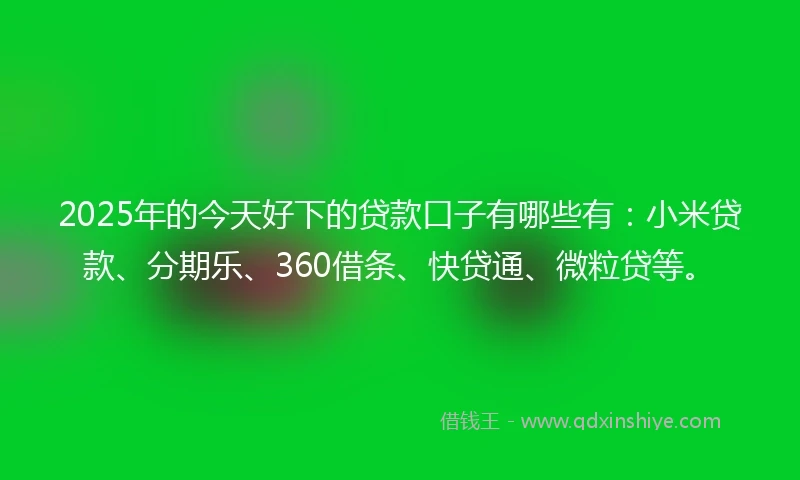 2025年的今天好下的贷款口子有哪些有：小米贷款、分期乐、360借条、快贷通、微粒贷等。