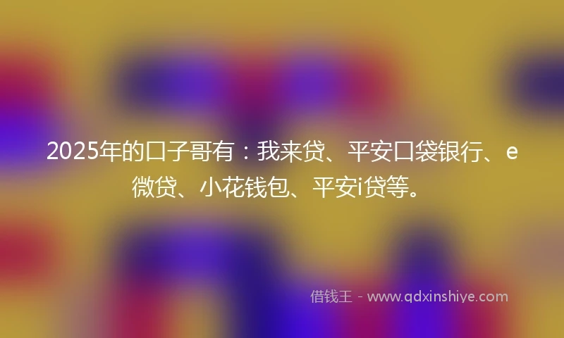 2025年的口子哥有：我来贷、平安口袋银行、e微贷、小花钱包、平安i贷等。