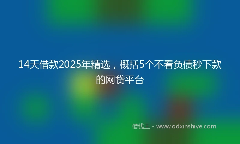 14天借款2025年精选，概括5个不看负债秒下款的网贷平台