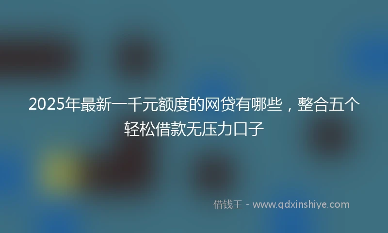 2025年最新一千元额度的网贷有哪些，整合五个轻松借款无压力口子