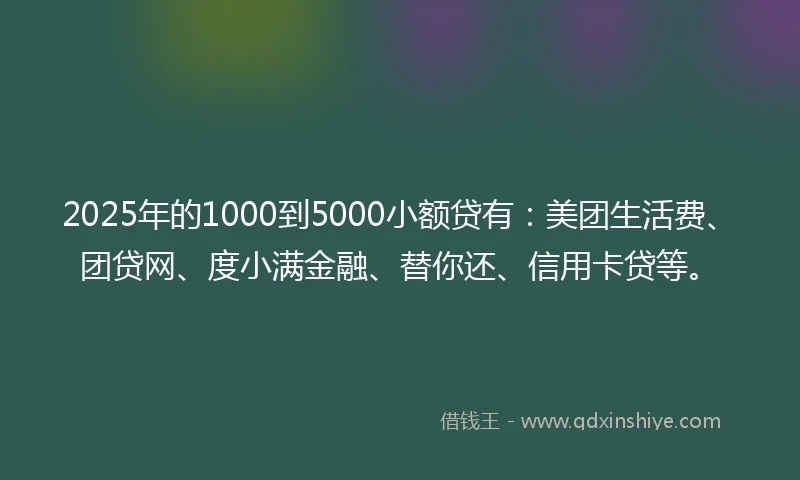 2025年的1000到5000小额贷有：美团生活费、团贷网、度小满金融、替你还、信用卡贷等。